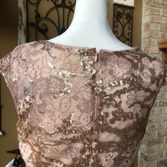 Alex Evenings Petite Emily Embroidered Fit and Flare Dress - Style #8217897 NWT - Picture 5 of 14